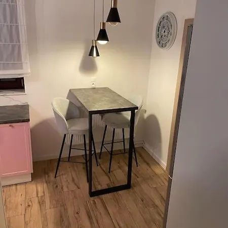 70 M2 Duzy Apartament Rybnik  Exterior photo